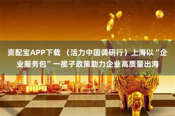 资配宝APP下载 （活力中国调研行）上海以“企业服务包”一揽子政策助力企业高质量出海