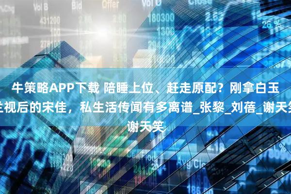 牛策略APP下载 陪睡上位、赶走原配？刚拿白玉兰视后的宋佳，私生活传闻有多离谱_张黎_刘蓓_谢天笑