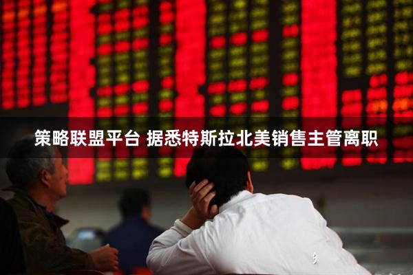 策略联盟平台 据悉特斯拉北美销售主管离职